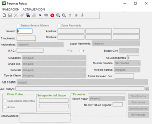 preview panel personas fisicas